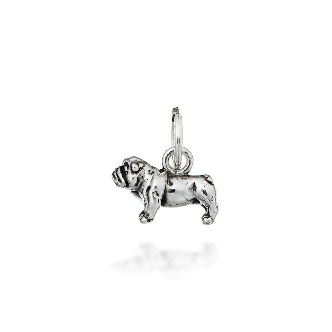 Giovanni Raspini Bedel Bulldog 10403