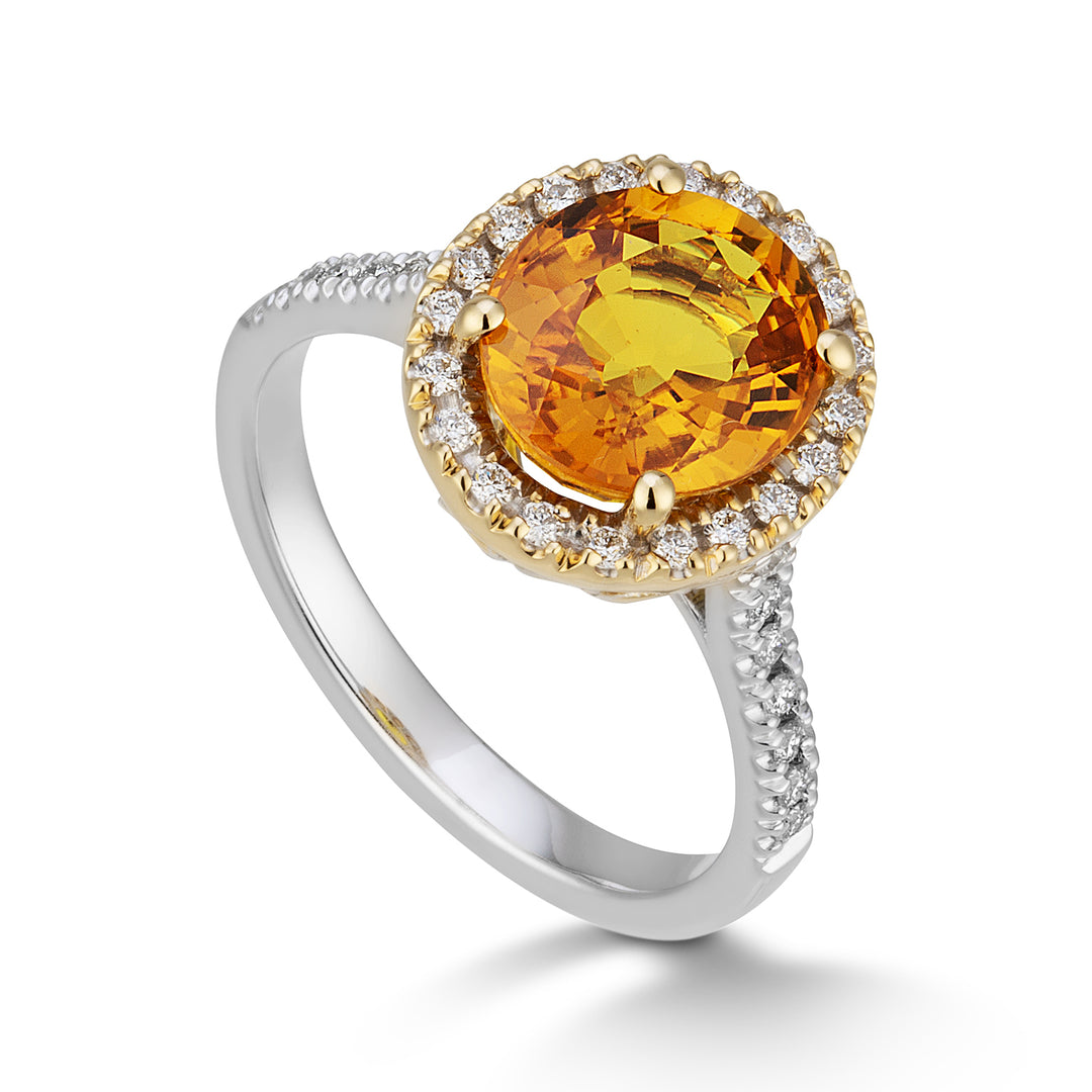Golay-Ring z.orange oval 10x9 und Durchmesserkontur und Schaft ACLCG427DIZO109-24068110044