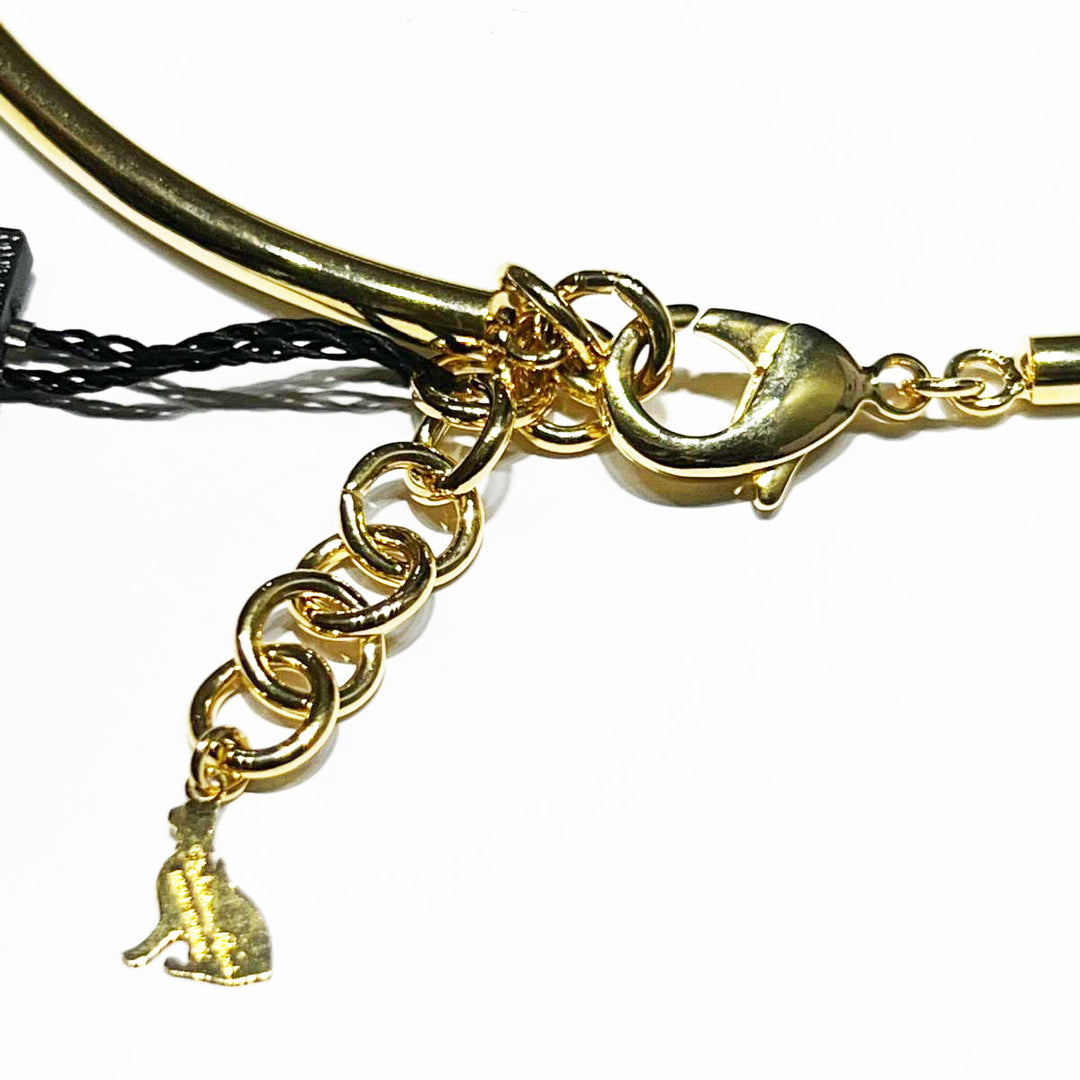 Federica Rossi stijve buisvormige choker met 18kt gouden PVD-afwerking FR.CO.33